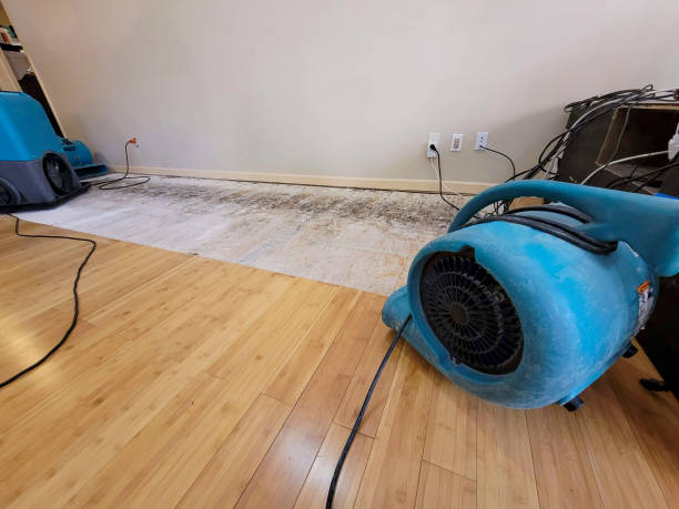 Professional Basement Flood Cleanup technician working in Big Falls, WI